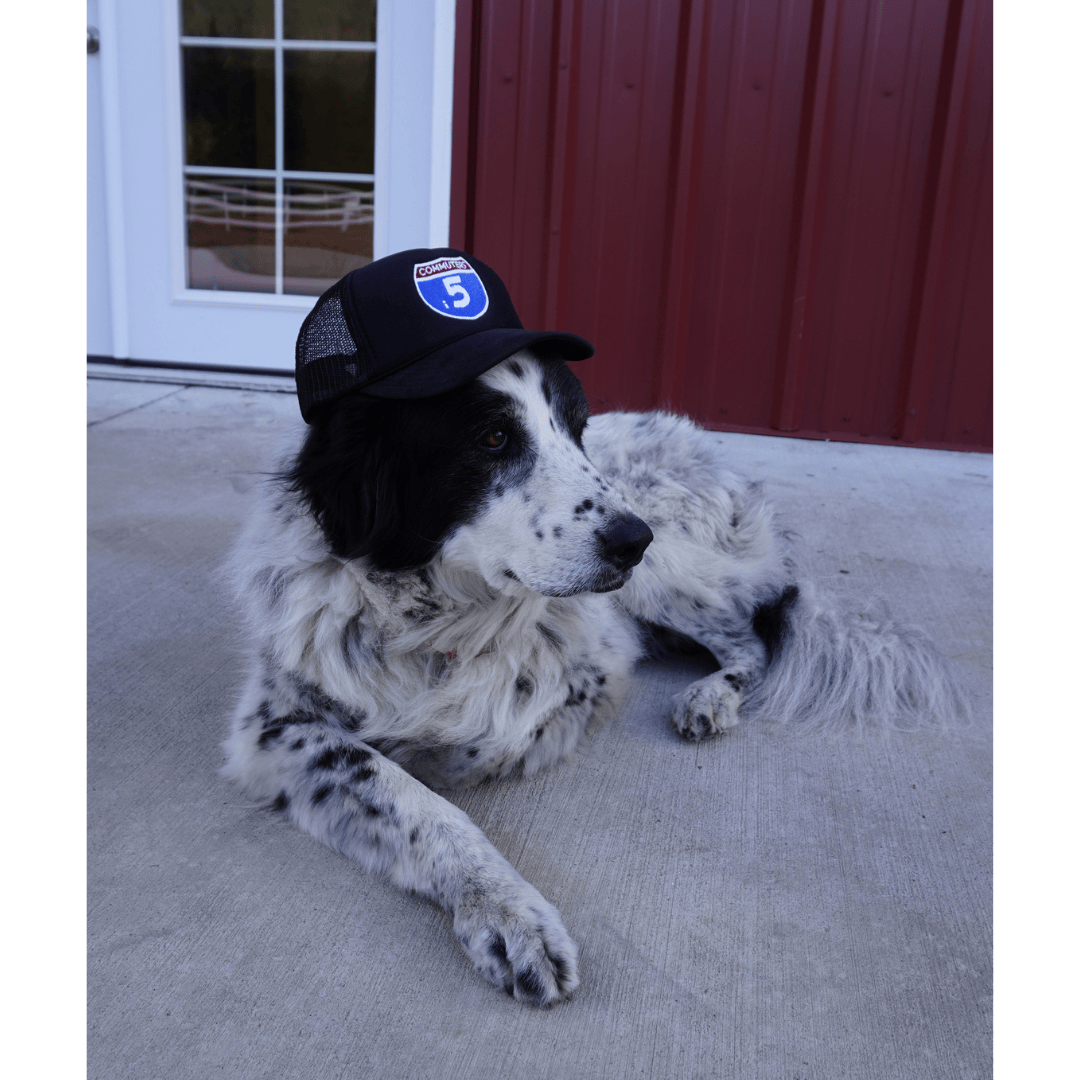 The i5 Trucker Hat